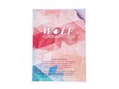 کاغذ گلاسه چسبدار ولف 135 گرم مدل wolf  A3 